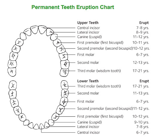 General Questions - Scott W Nieman DDS Inc