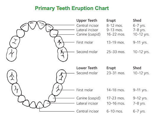 General Questions - Scott W Nieman DDS Inc